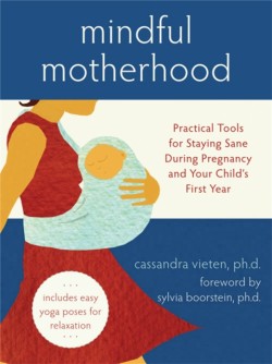 Mindful Motherhood: Practical Tools for Staying Sane During Pregnancy and Your Childs First Year