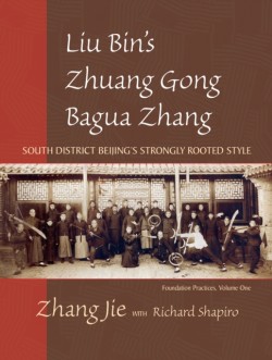 Liu Bins Zhuang Gong Bagua Zhang, Volume One