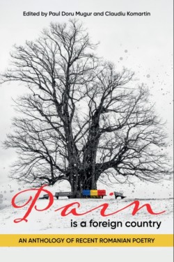 Pain Is a Foreign Country