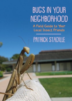 Bugs in Your Neighborhood
