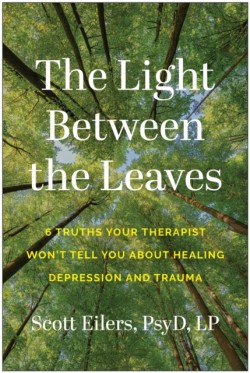 The Light Between the Leaves