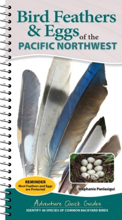 Bird Feathers & Eggs of the Pacific Northwest
