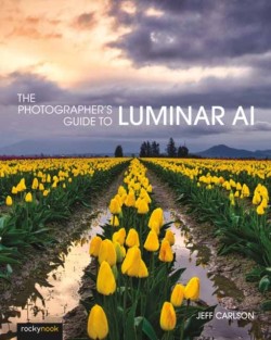 Photographers Guide to Luminar AI,The