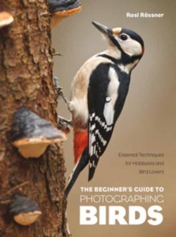 The Beginners Guide to Photographing Birds