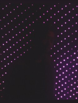 Moondonist 13