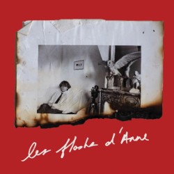 Anne Day: Les Flashes DAnne