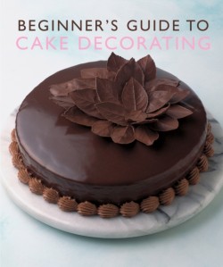 BeginnerS Guide to Cake Decorating