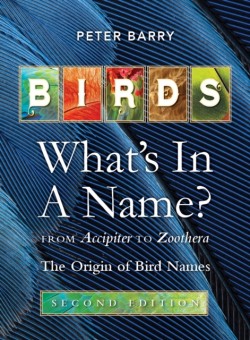 Birds: Whats in a Name