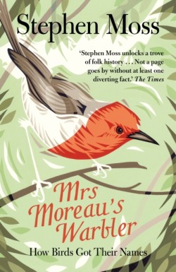 Mrs Moreaus Warbler