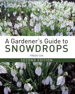 A Gardeners Guide to Snowdrops