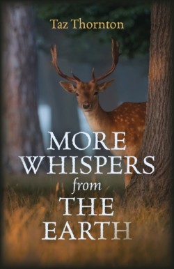 More Whispers from the Earth