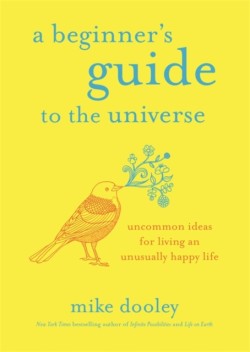 A Beginners Guide to the Universe