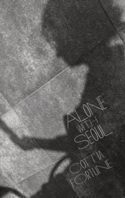 Alone with Seoul