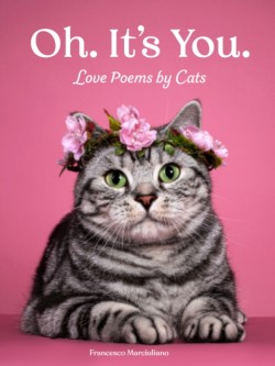 Oh. Its You.