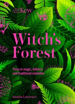 Witchs Forest