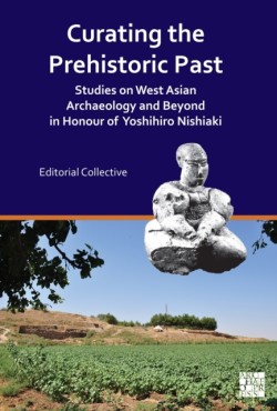 Curating the Prehistoric Past