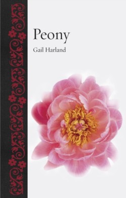 Peony