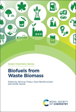 Biofuels from Waste Biomass