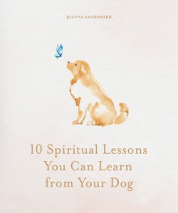 10 Spiritual Lessons You Can Learn from Your Dog
