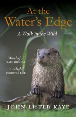 At the Waters Edge