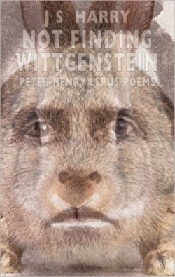 Not Finding Wittgenstein