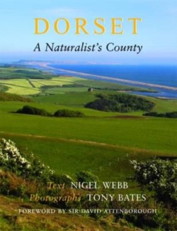 Dorset, a Naturalists County