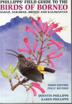 Phillipps Field Guide to the Birds of Borneo