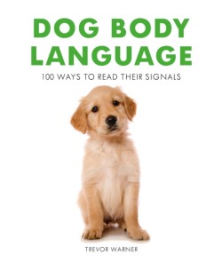 Dog Body Language