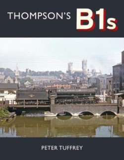 Thompsons B1s