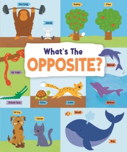 Whats the Opposite?