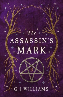 The Assassins Mark