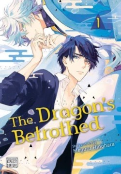The Dragons Betrothed, Vol. 1