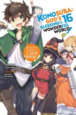 Konosuba: Gods Blessing on This Wonderful World!, Vol. 16 (light novel)