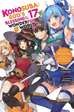 Konosuba: Gods Blessing on This Wonderful World!, Vol. 17 (light novel)