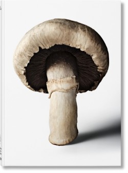The Gourmands Mushroom