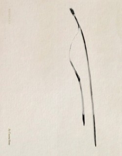 Txema Yeste: Needles