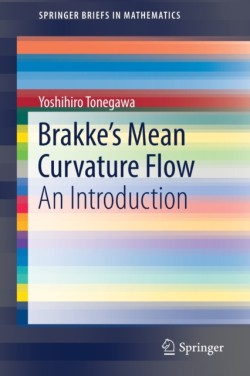 Brakkes Mean Curvature Flow