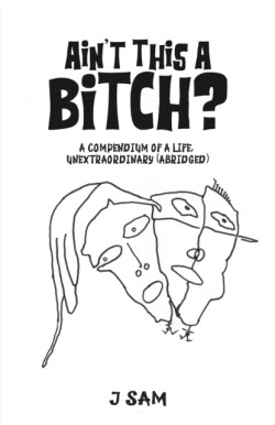 Aint This a Bitch?