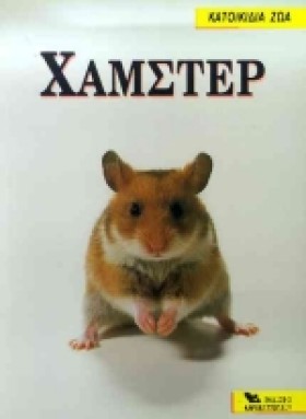 ΧΑΜΣΤΕΡ