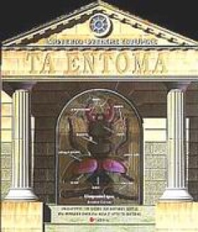 ΤΑ ΕΝΤΟΜΑ &hellip;