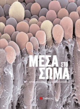 ΜΕΣΑ ΣΤΟ &hellip;