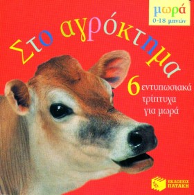 ΣΤΟ ΑΓΡΟΚΤ …