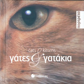ΓΑΤΕΣ ΚΑΙ …