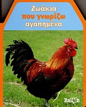 ΜΙΚΡΑ ΣΠΙΤ …