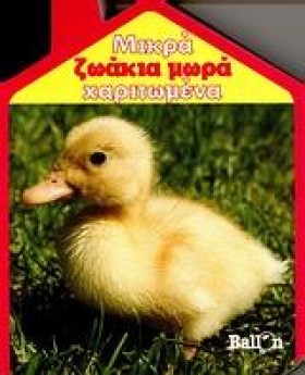 ΜΙΚΡΑ ΣΠΙΤ &hellip;