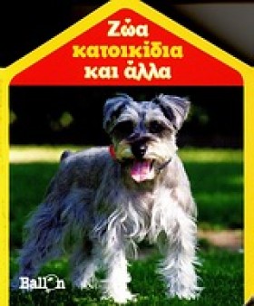 ΜΙΚΡΑ ΣΠΙΤ &hellip;