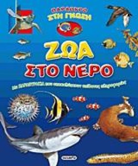 ΠΑΡΑΘΥΡΟ Σ …