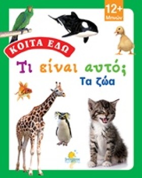 ΚΟΙΤΑ ΕΔΩ- …