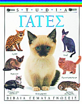 ΙΣΤΟΡΙΑ ΤΟ …