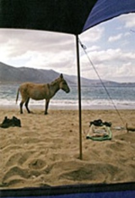 ΜΙΚΡΕΣ ΙΣΤ &hellip;